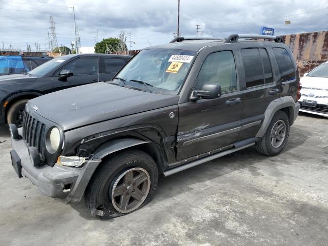 1J4GL38K55W520920 - 2005 JEEP LIBERTY RENEGADE 灰色 照片 1