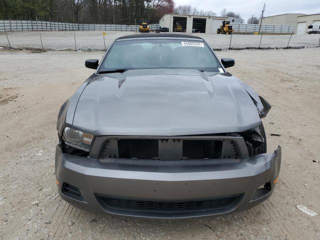 1ZVBP8EN6A5167245 - 2010 FORD MUSTANG GRAY photo 5