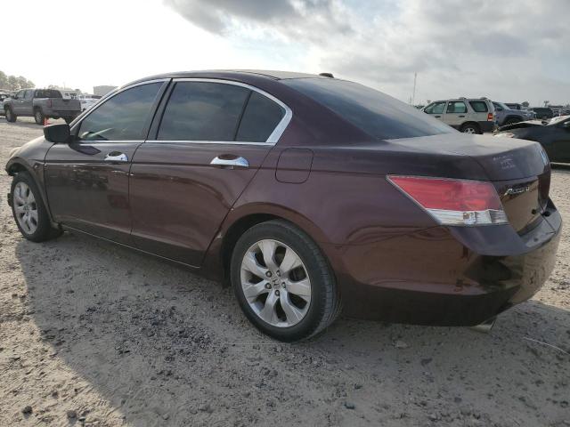 5KBCP3F86AB003691 - 2010 HONDA ACCORD EXL MAROON photo 2