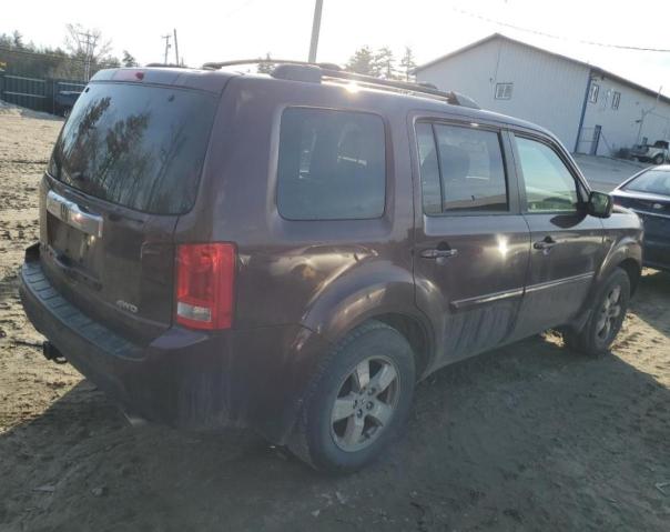 5FNYF4H66AB001559 - 2010 HONDA PILOT EXL MAROON photo 3