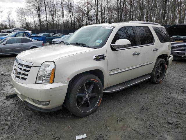 1GYUKEEJ3AR245800 - 2010 CADILLAC ESCALADE HYBRID WHITE photo 1