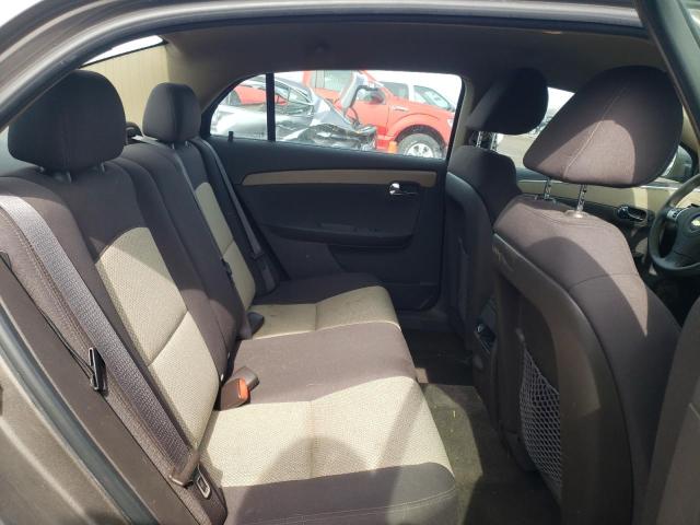 1G1ZB5EB5AF205541 - 2010 CHEVROLET MALIBU LS1 LS Қоңыр фото 10