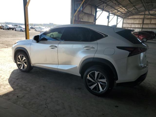 JTJGARDZ7M5024858 - 2021 LEXUS NX 300 BASE Ağ foto 2