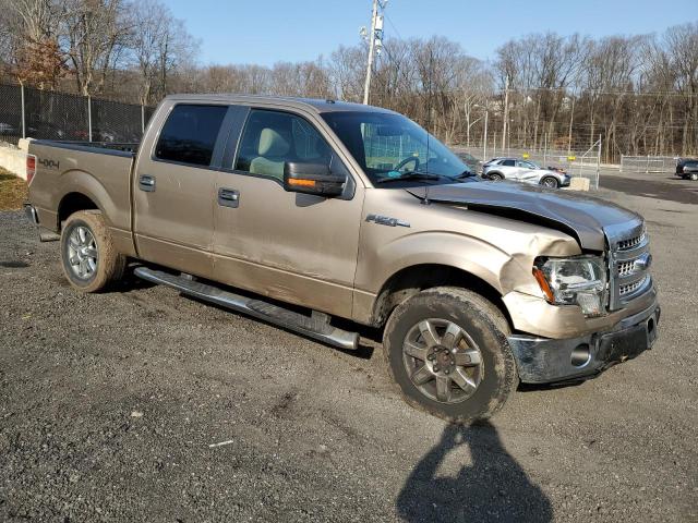 1FTFW1EF8DFD88996 - 2013 FORD F150 SUPERCREW TAN photo 4