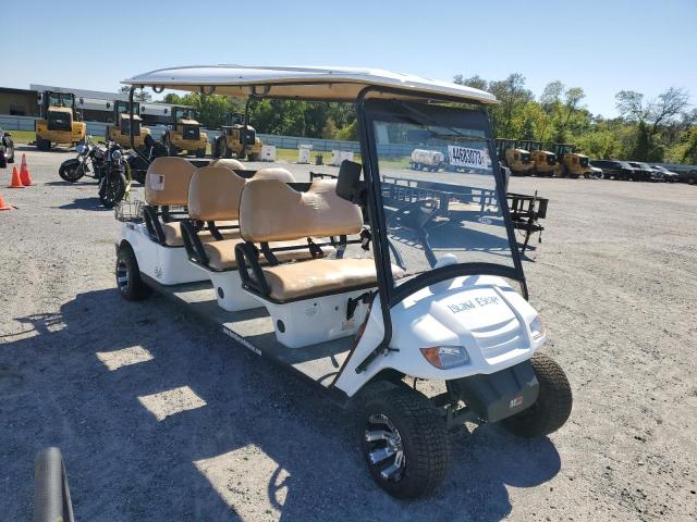 1G9AE41G6MA493066 - 2021 GOLF CART WHITE photo 1