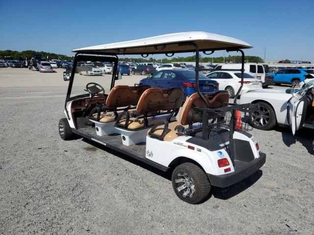 1G9AE41G6MA493066 - 2021 GOLF CART WHITE photo 3