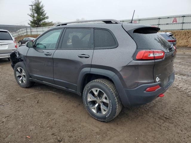 1C4PJMBB7HW517239 - 2017 JEEP CHEROKEE TRAILHAWK Boz foto 2