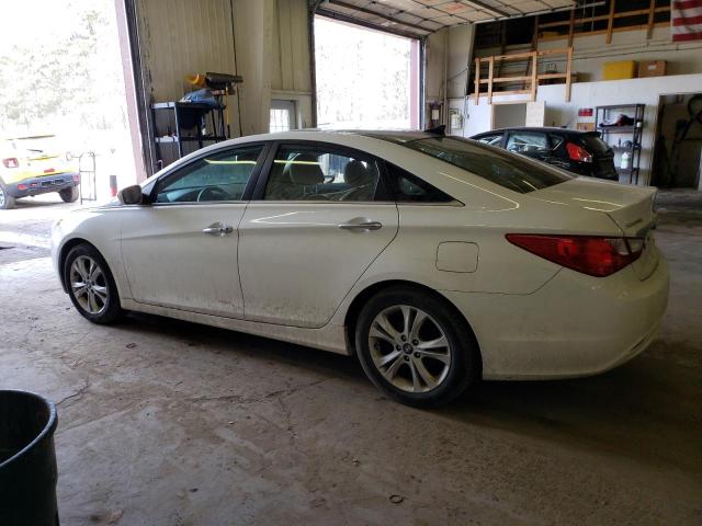 5NPEC4AC3DH552548 - 2013 HYUNDAI SONATA SE WHITE photo 2