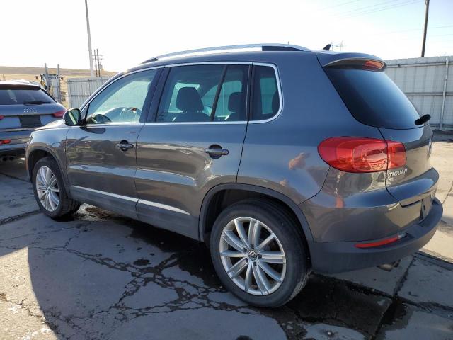 WVGBV7AX8GW530010 - 2016 VOLKSWAGEN TIGUAN S GRAY photo 2