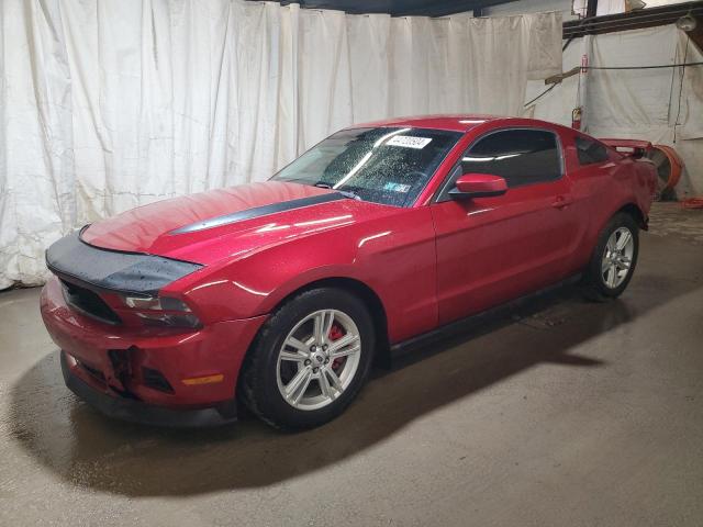 1ZVBP8AM7B5153207 - 2011 FORD MUSTANG RED photo 1