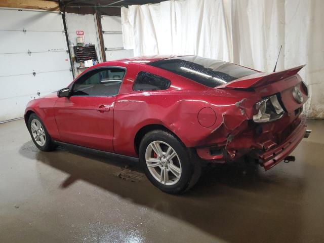 1ZVBP8AM7B5153207 - 2011 FORD MUSTANG RED photo 2