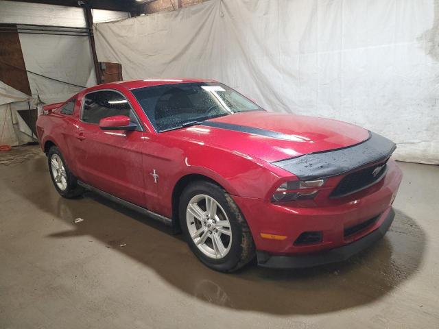 1ZVBP8AM7B5153207 - 2011 FORD MUSTANG RED photo 4