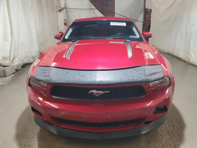 1ZVBP8AM7B5153207 - 2011 FORD MUSTANG RED photo 5