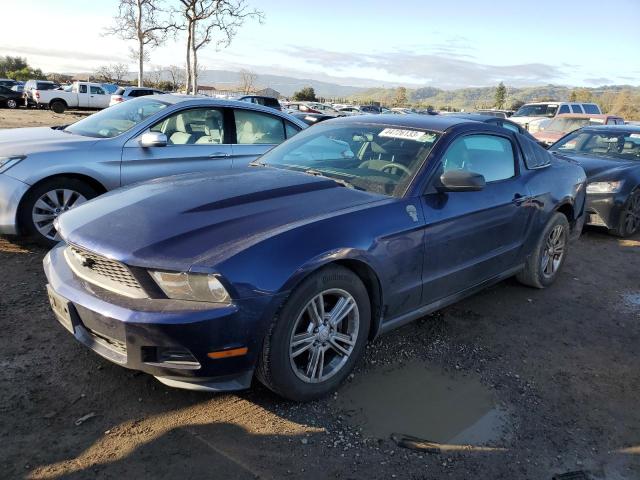 1ZVBP8AN3A5181223 - 2010 FORD MUSTANG BLUE photo 1