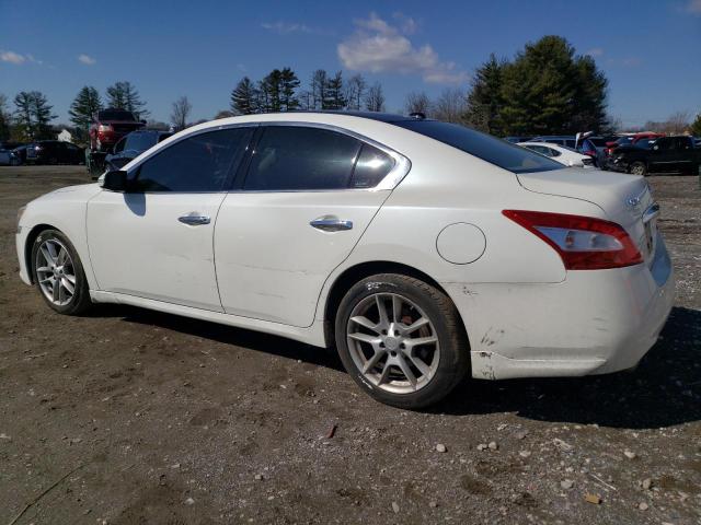 1N4AA5AP1BC824090 - 2011 NISSAN MAXIMA S WHITE photo 2