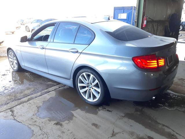 WBAFR7C59BC802769 - 2011 BMW 533 I GRAY photo 2