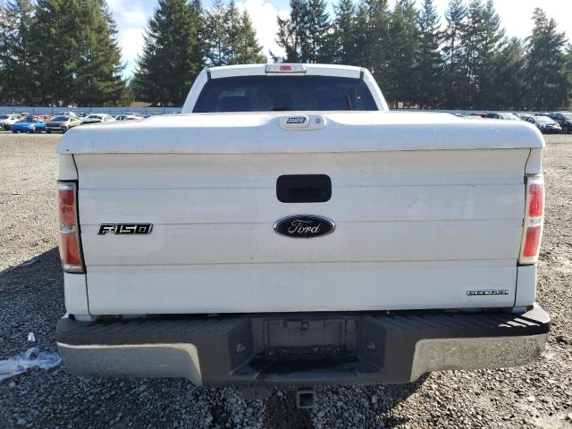 1FTMF1CM2DKG52777 - 2013 FORD F150 WHITE photo 10