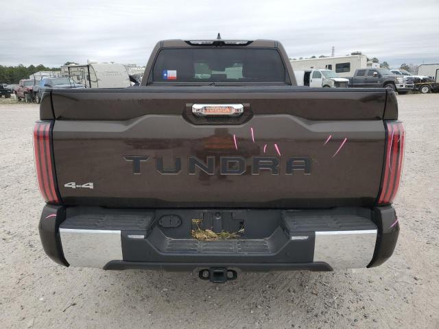 5TFMA5EC6PX013352 - 2023 TOYOTA TUNDRA CREWMAX PLATINUM Braun Foto 6