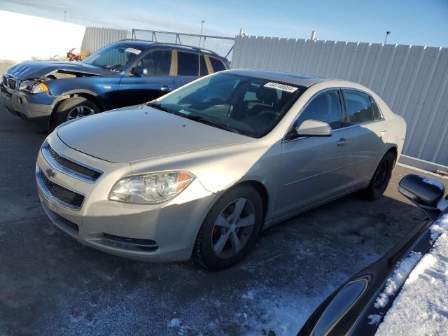 1G1ZC5E05AF322645 - 2010 CHEVROLET MALIBU 1LT TAN photo 1