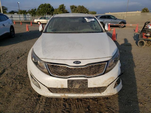 5XXGM4A71FG388224 - 2015 KIA OPTIMA LX WHITE photo 5