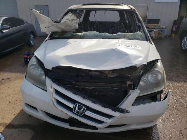 5FNRL38666B448231 - 2006 HONDA ODYSSEY EXL WHITE photo 5