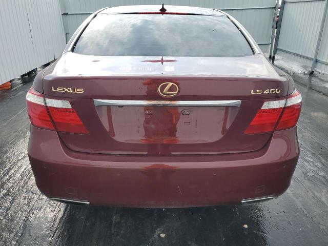 JTHBL46F075012566 - 2007 LEXUS LS 460 BURGUNDY photo 6