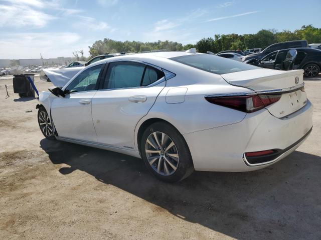 58ADA1C17MU004901 - 2021 LEXUS ES 300H WHITE photo 2