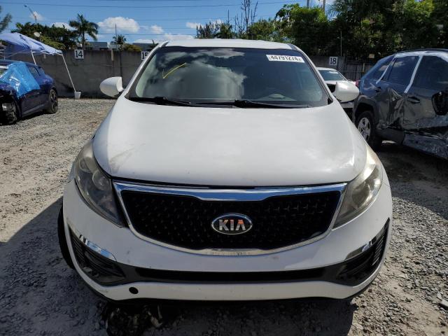 KNDPB3AC5E7562932 - 2014 KIA SPORTAGE BASE WHITE photo 5