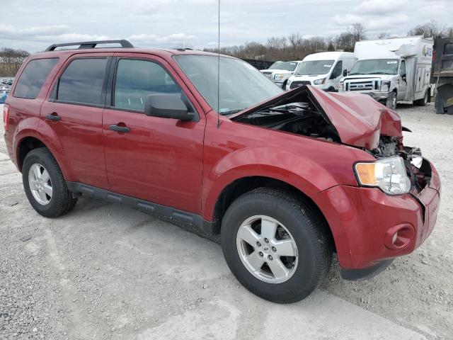 1FMCU0D75CKB51610 - 2012 FORD ESCAPE XLT RED photo 4