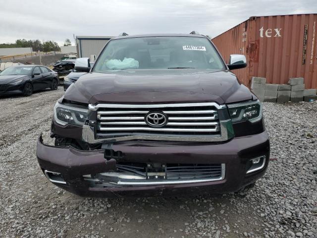 5TDDY5G13KS174098 - 2019 TOYOTA SEQUOIA PLATINUM PURPLE photo 5