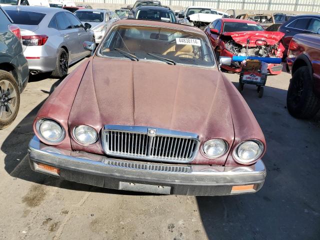 SAJAV1347FC398617 - 1985 JAGUAR XJ6 BEIGE photo 5