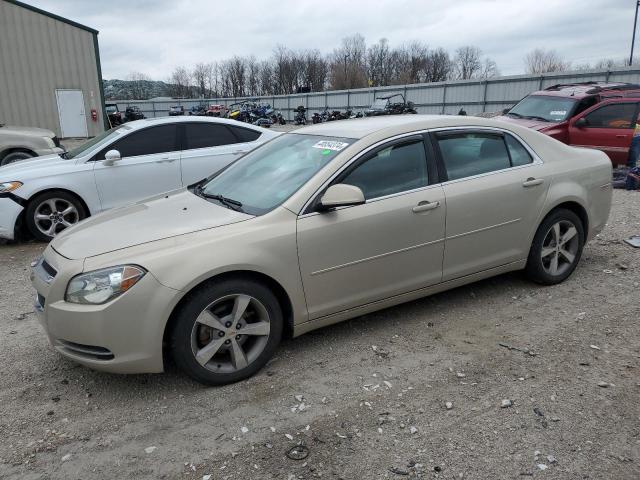 1G1ZC5EU9BF175590 - 2011 CHEVROLET MALIBU 1LT 金色 照片 1