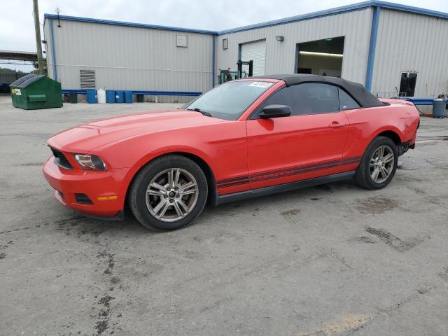 1ZVBP8EN5A5171786 - 2010 FORD MUSTANG RED photo 1