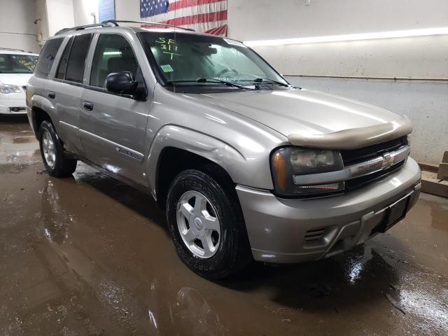 1GNDT13S432126308 - 2003 CHEVROLET TRAILBLAZE BEIGE photo 4