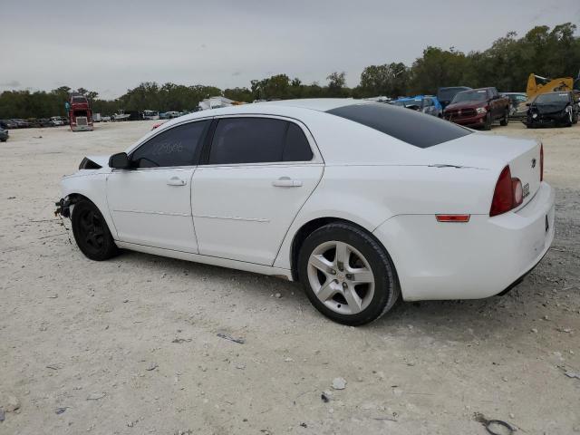 1G1ZA5EU0CF258929 - 2012 CHEVROLET MALIBU LS WHITE photo 2