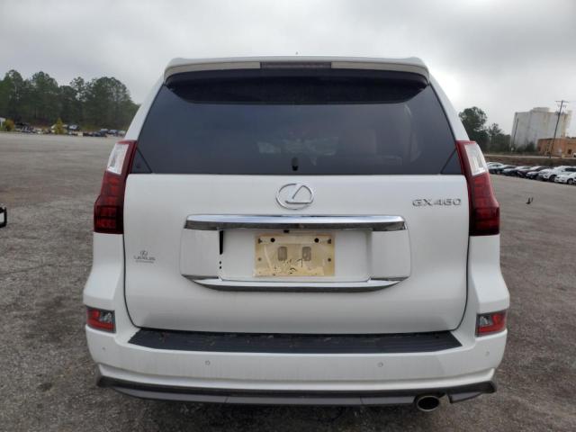 JTJBM7FX3J5191490 - 2018 LEXUS GX 460 WHITE photo 6