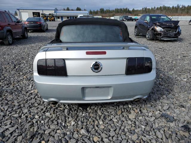 1ZVFT85H065243671 - 2006 FORD MUSTANG GT SILVER photo 6