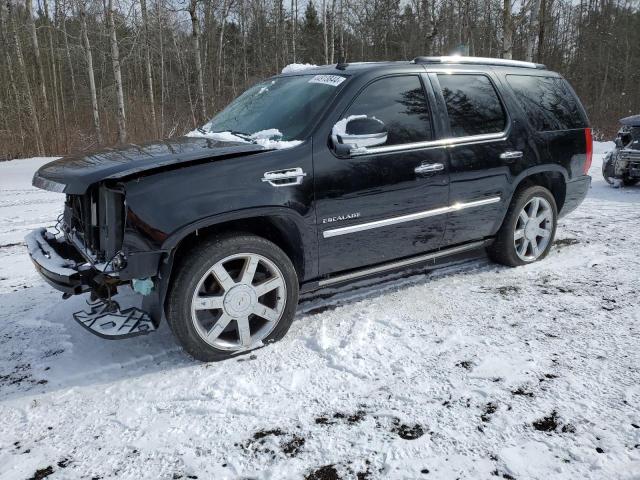 2010 CADILLAC ESCALADE PREMIUM, 