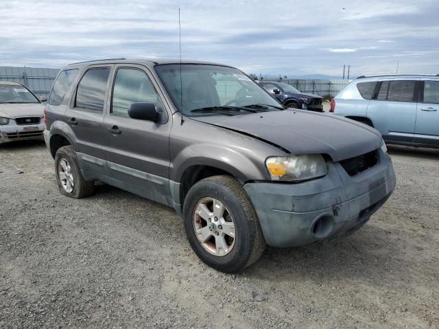 1FMCU93175KB33906 - 2005 FORD ESCAPE XLT GRAY photo 4