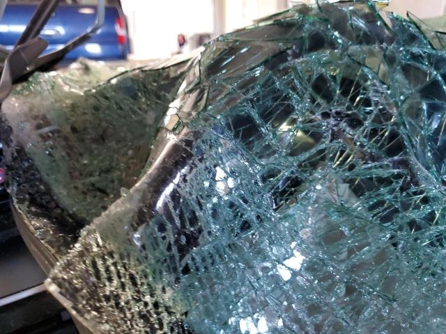 2HGFC1F77HH658080 - 2017 HONDA CIVIC EXL ვერცხლისფერი ფოტო 9