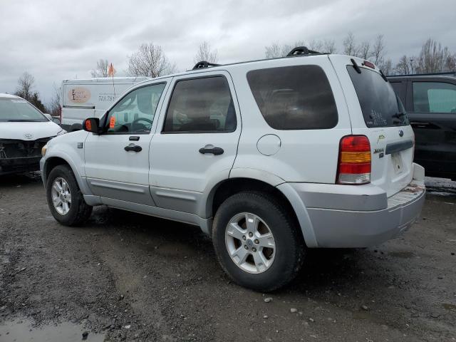 1FMYU93107KB06698 - 2007 FORD ESCAPE XLT WHITE photo 2