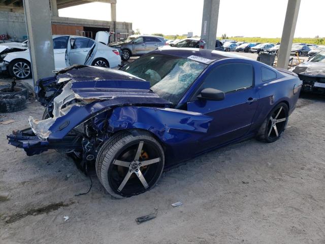 1ZVBP8AM2D5281213 - 2013 FORD MUSTANG BLUE photo 1