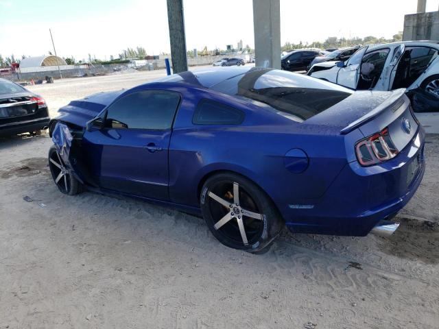 1ZVBP8AM2D5281213 - 2013 FORD MUSTANG BLUE photo 2