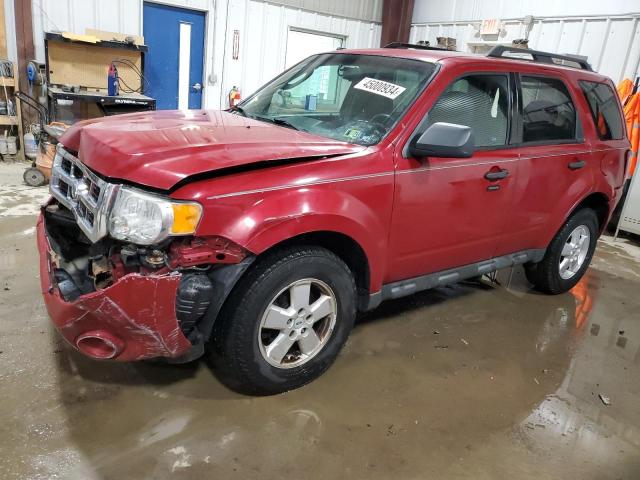 2009 FORD ESCAPE XLT, 