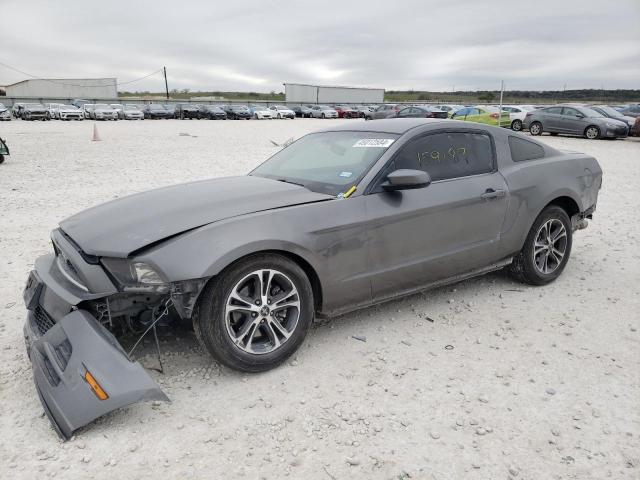 1ZVBP8AM4E5264656 - 2014 FORD MUSTANG GRAY photo 1