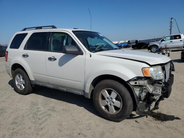 1FMCU03G09KC25512 - 2009 FORD ESCAPE XLT WHITE photo 4