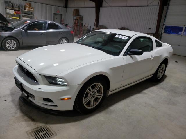1ZVBP8AM9D5270872 - 2013 FORD MUSTANG WHITE photo 1