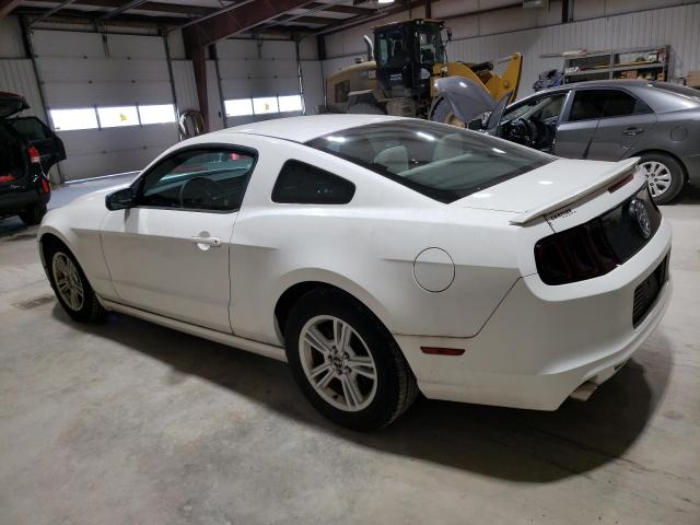 1ZVBP8AM9D5270872 - 2013 FORD MUSTANG WHITE photo 2