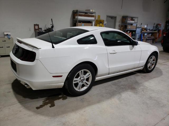 1ZVBP8AM9D5270872 - 2013 FORD MUSTANG WHITE photo 3