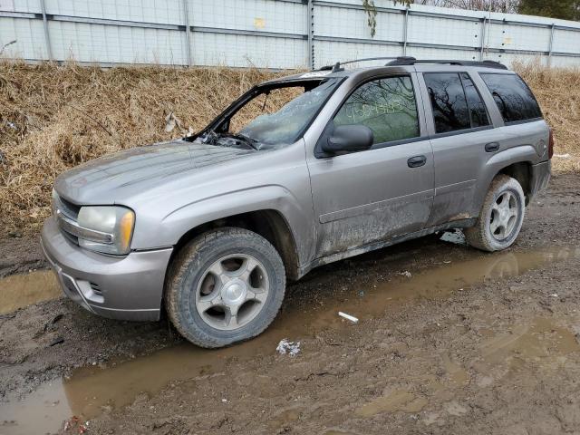 1GNDT13SX72144284 - 2007 CHEVROLET TRAILBLAZE LS SILVER photo 1